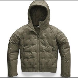 The Northface Mashup Down Coat